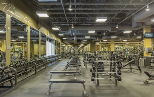 Gold's Gym