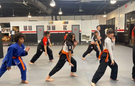Warrior Martial Arts Studio for Teens in Elk Grove